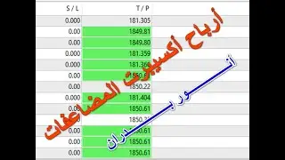 Forex | أرباح أكسيبرت المضاعفات القوي
