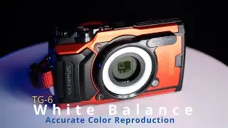 Olympus TG-6 Accurate Color Through White Balance
