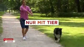 Nur mit Tier - Leinentraining für Hunde