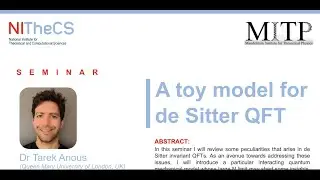 2026-01-22 - NITheCS & MITP Seminar: 'A toy model for de Sitter QFT' - Dr Tarek Anous