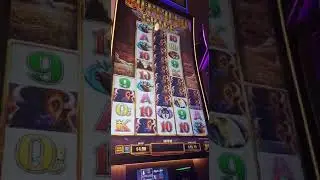 SUPER RARE JACKPOT HANDPAY FROM THE RANDOM STAMPEDE FEATURE ON BUFFALO CHIEF! #Shorts