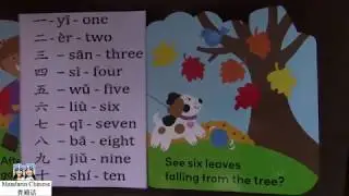 Thanksgiving Counting by Barbara Barbieri McGrath