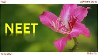 NEET