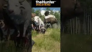 🔥 This MODDED SERVER Is INSANE 🔥 The Hunter COTW #shorts