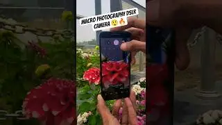 Macro photography ideas 💡| Motorola Edge 50 Pro 🔥| #photography #viral #shorts #dslr
