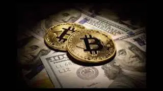 Far-right activists got bitcoins worth $500k before US Capitol violence: Report | Really News