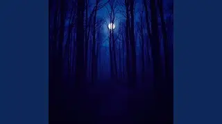 Calm After Sunset