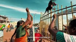 Medaram Jathara is not just a festival, it is a celebration of Shakti. | Medaram Jatara 2026