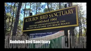 Exploring the Audubon Bird Sanctuary