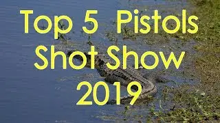 Top 5 Pistols from Shot Show 2019