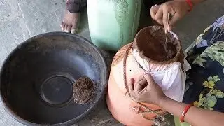 Neem seed kernel extract (Summary)