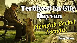 TERBİYESİ EN GÜÇ HAYVAN | Memduh Şevket Esendal | Sesli Hikaye | Seslendiren: Barış Okkay