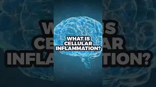 Inflamed cells = low energy, foggy brain, poor sleep. We test deeper. #CellHealth #DocQ #CEA