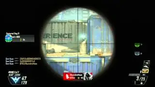 Gem Hype // First Bo2 Feed
