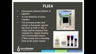 Solutions to Detect Cell Death