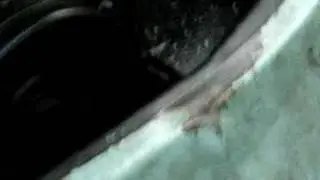 supercharged bug