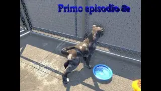 Animal Shelter USCTO PER TUTTI RINGRAZIO IL MITICO @poderakgames