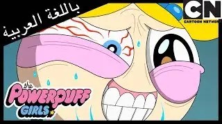 فتيات القوة | تنويم | كرتون نتورك