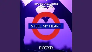 Steel My Heart (Extended Mix)