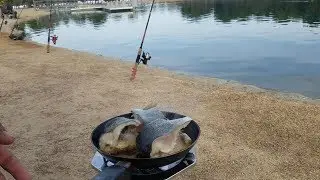 Catch and Cook Rainbow Trout (Apollo Lake)