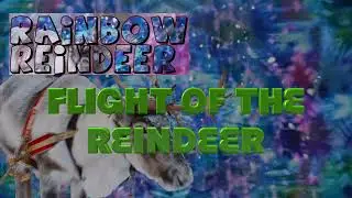 Flight of the Reindeer - Rainbow Reindeer.  New lyrics over the Grateful Dead song, Cassidy.