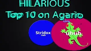 HILARIOUS AGARIO TOP 10 RUN! Attacked by the bugs!