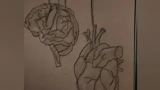 How to Draw a Meaningful Brain & Heart Drawing 🖤🧠❤️