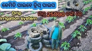 Drip💧 irrigation system // agriculture // drip pipe // Harsha trust // @SourabhajenaOfficial 