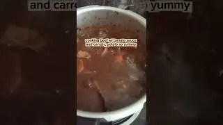 cooked beef w/ tomato sauce