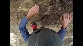 solo dans la demenge