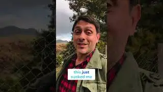 My Journey as a Curandero & Mayan Ajqij in Mexico