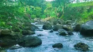 Instant Sleep with River Sounds | Calm Flowing Water White Noise for Night Rest