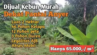 Dijual Kebun Murah Dekat Pantai Anyer