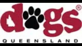Dogs QLD - DOG of the Year 2025