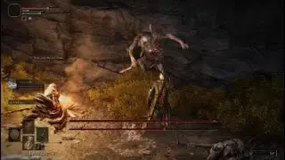 ELDEN RING - W&oacute;dz P&oacute;łludzi Boss