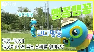 [엄마랑소리랑] ♬ 전래동요 맹꽁맹꽁