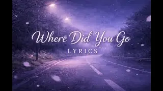 Where did you Go| lyrics video | Moonlit Lily