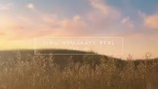 Timo Lige   Sinu armukäte peal