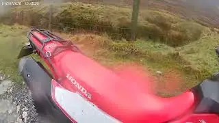 Wet day in north wales (cynwyd) 