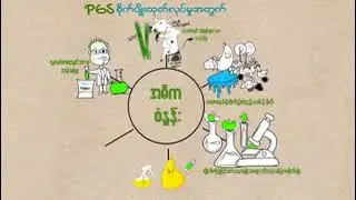 What is the Gaia PGS Network ?