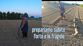 Prepariamo un impianto per il nostro orto e le fragole subito seminare