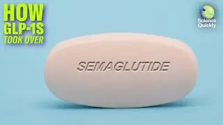 Weighing the Good and Bad of Weight-Loss Drugs