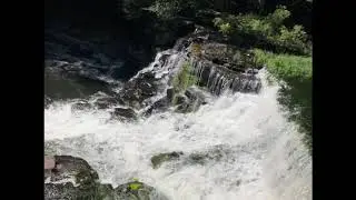 flow - grayson roberts-jolly