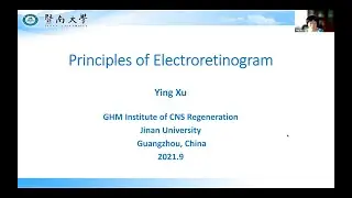 Principles of Electroretinogram from Prof. Ying Xu