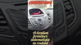 Options cach&eacute;es sur Ford fiesta