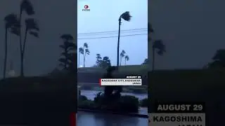 Powerful Typhoon Shanshan hits Japan #typhoon #kagoshima