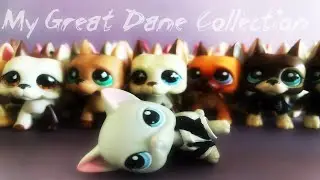 LPS: MOJA KOLEKCJA DOGÓW NIEMIECKICH - MY GREAT DANE COLLECTION |POLAND