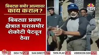 बिबट्या समोर आल्यावर काय कराल? जाणून घेऊया! | Leopard Attack