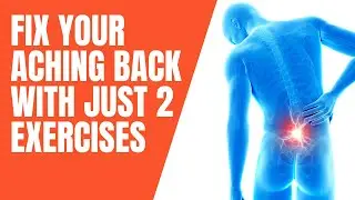 2 Quick Back Mobility Exercises to Relieve Lower Back Pain | Back Pain Prevention