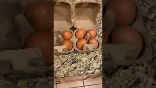 Яйца Айзы Браун